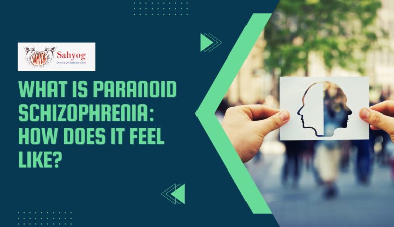 What is Paranoid Schizophrenia: How Does it Feel Like?