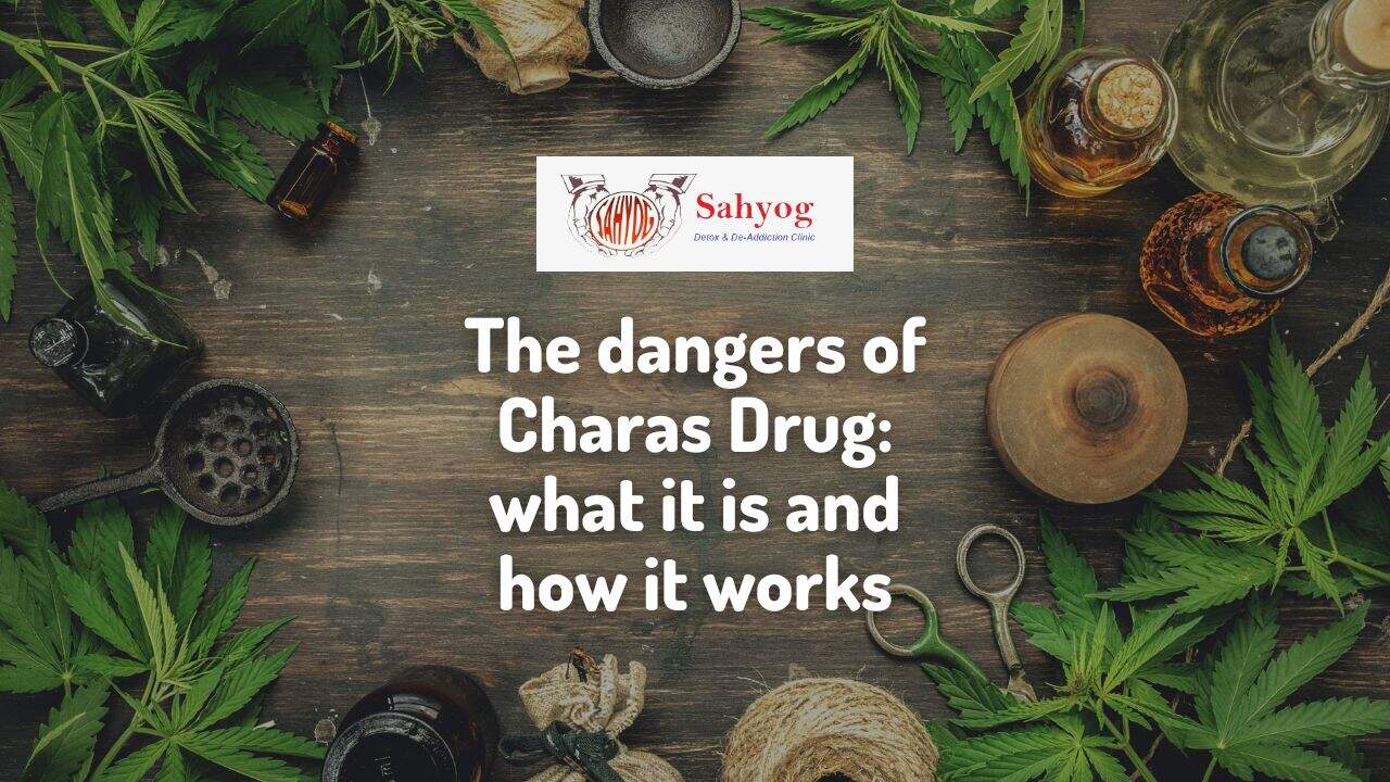 The dangers of Charas Drug: what it is and how it works