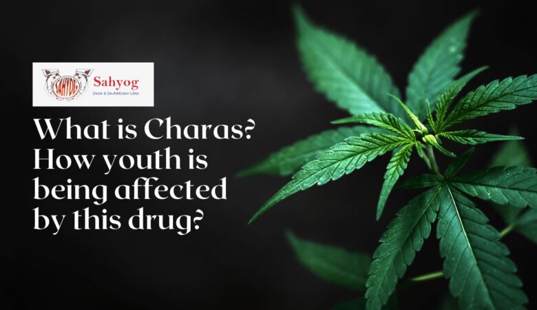 What is Charas? How youth is being affected by this drug?