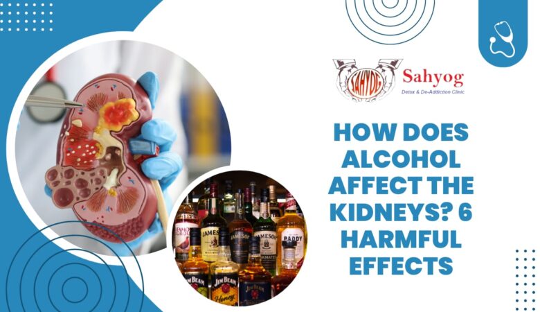 How does Alcohol Affect the Kidneys? 6 Harmful Effects