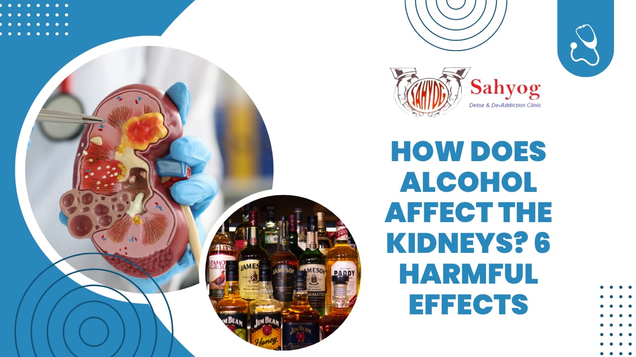 How does Alcohol Affect the Kidneys