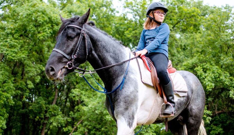 Equine Therapy for Addiction Recovery: How Horses Can Heal