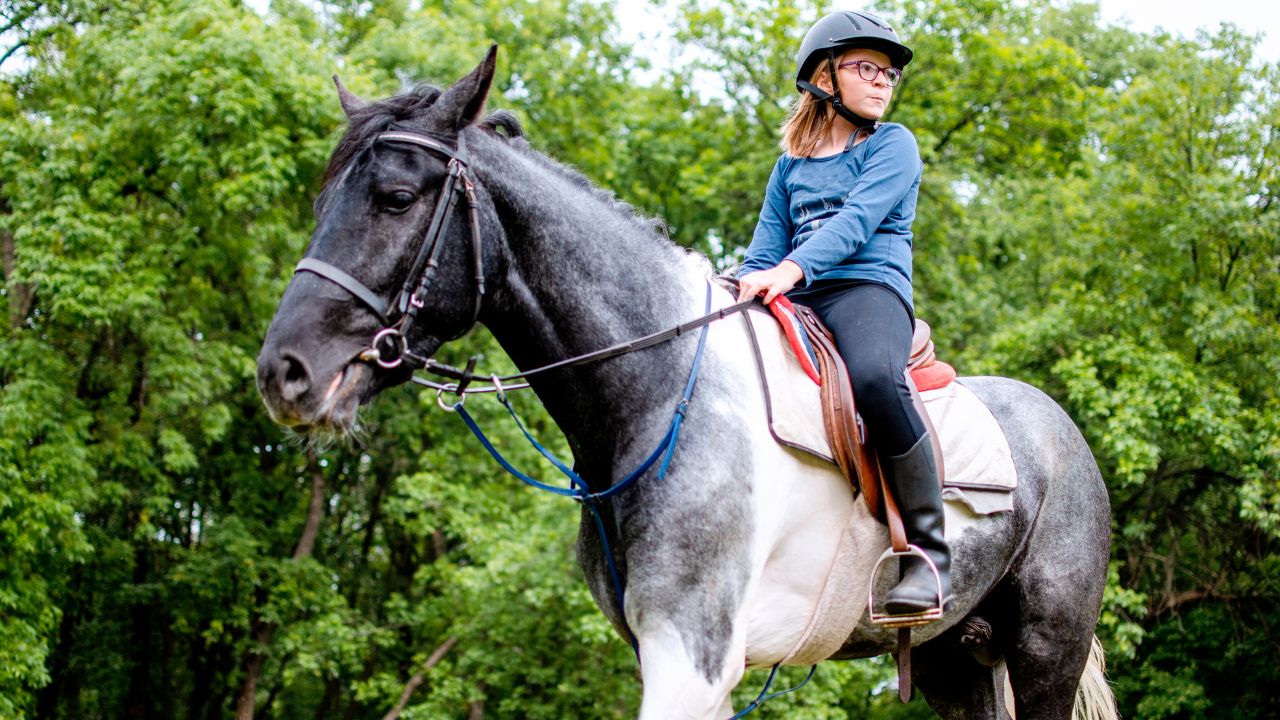 Equine Therapy for Addiction Recovery How Horses Can Heal