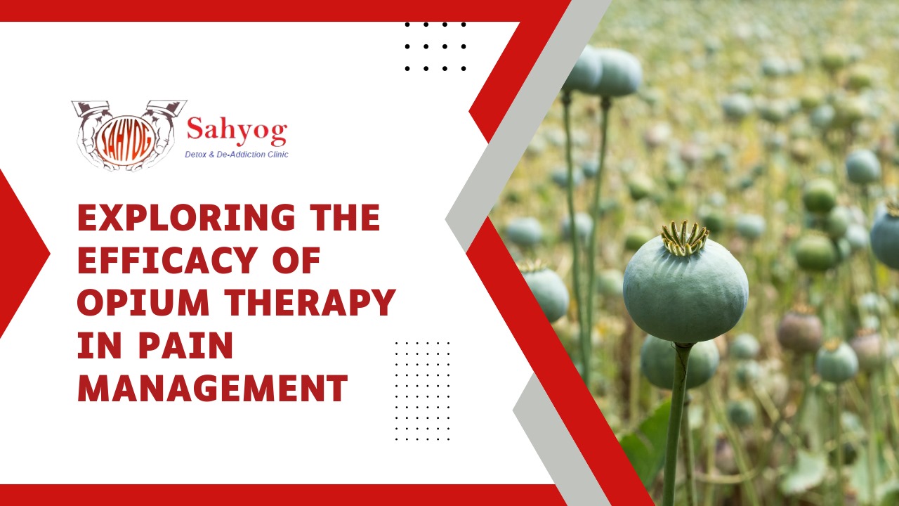 Exploring the Efficacy of Opium Therapy in Pain Management