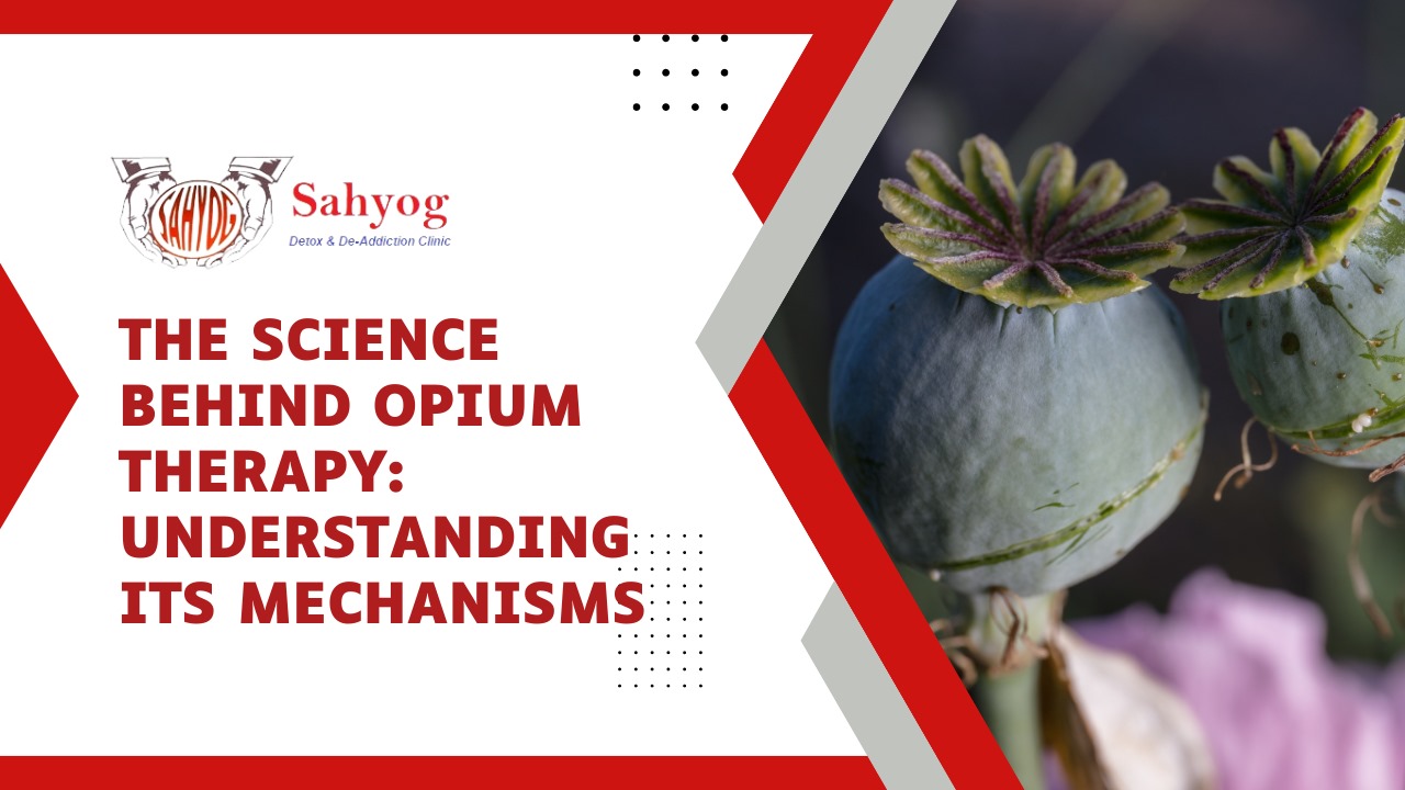 The Science Behind Opium Therapy: Understanding its Mechanisms